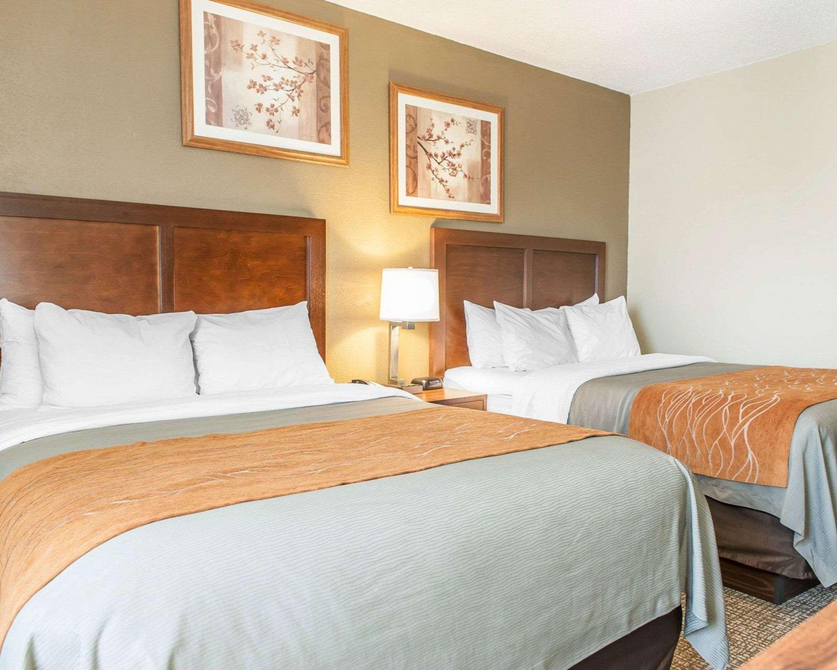 Comfort Inn Madison Buitenkant foto
